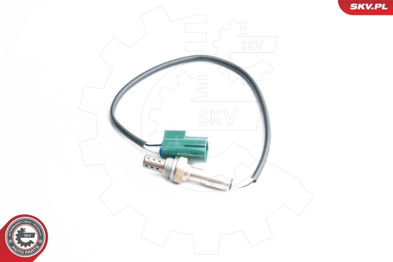 Oxygen Sensor